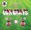 YCS FLASH® Quick Set - Congrats - Solid