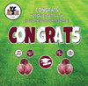 YCS FLASH® Quick Set - Congrats - Solid