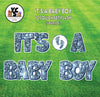 It s A BOY Letter Set