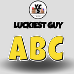 LUCKY GUY 18 Inch SOLID Vowel & Consonant Set