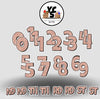 YCS Lucky Large Number Set