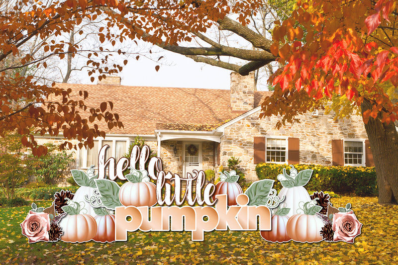 Pumpkin QSF Garden Baby Collection
